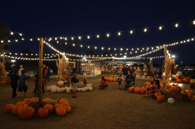 Halls-pumpkin-farm-at-night-2.jpg