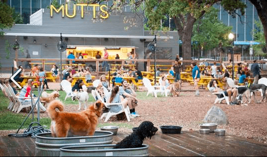 mutts dog park
