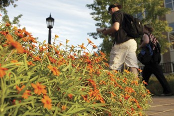 Students walk past a group of flowers outside the Caruth building. The flower bed is one of many around campus.
