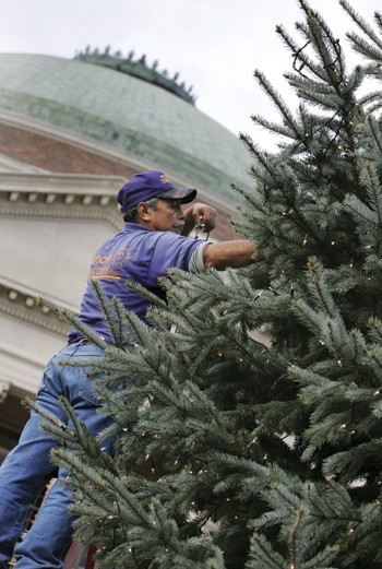 Carlos Ayala, a worker with Outdoor Reflections, places strands of lights on the Christmas Tree in front of Dallas Hall in preperation for Sunday night's Celebration of Lights.