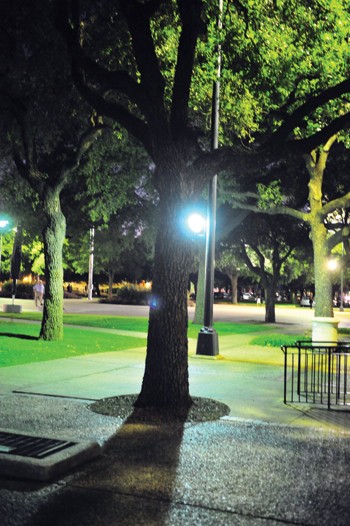 A night street light shines behind a tree near Umphree-Lee center.
