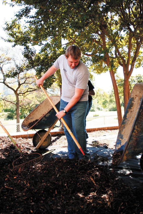 Junior Chris Howdeshell spreads mulch at Scottish Rite Hospital in Dallas with Beta Upsilon Chi last Saturday as a part of community service day. CASEY LEE/The Daily Campus