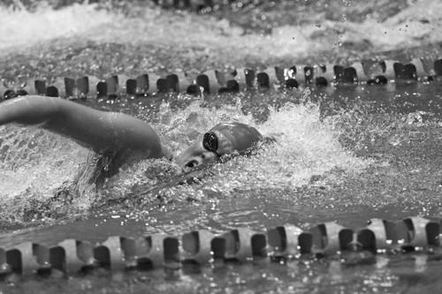 A SMU swimmer during a freestyle race against the University of Texas Feb 6 at Perkins Natatorium.