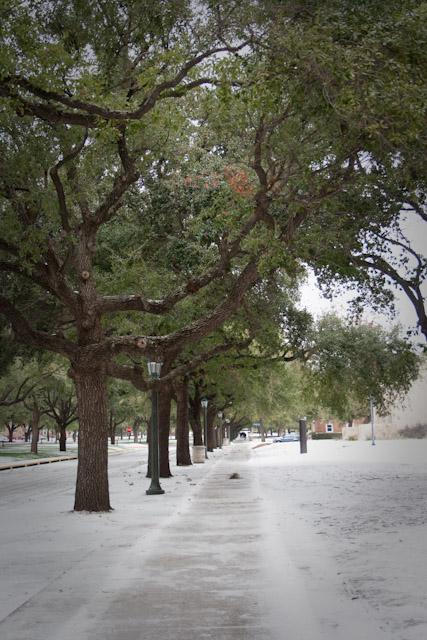Frozen rain, sleet, snow shut down schools, transportation
