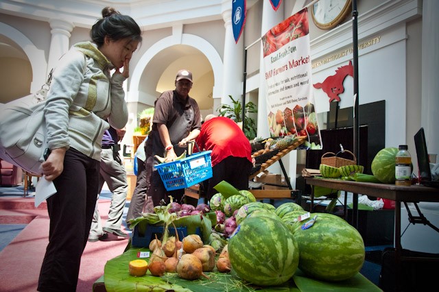 An SMU student looks at several varieties of fresh vegetables and fruit from North Texas farmers during the SMU Farmers’ Market Thursday afternoon inside the Hughes-Trigg Commons.