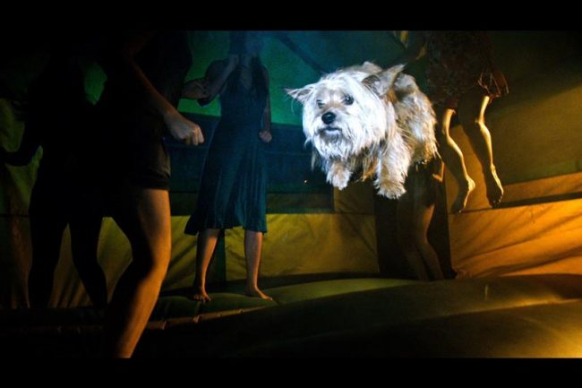 Party host, played by Thomas Mann, gives his dog Milo a thrill in one of the party’s features