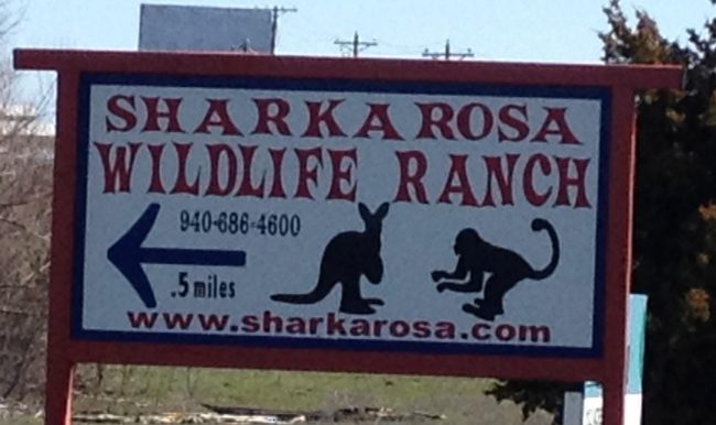 Exotic Animals Find Protection at Sharkarosa Wildlife Ranch