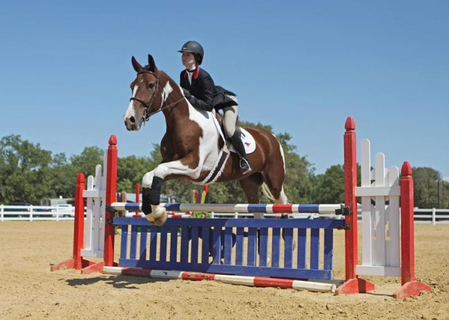 Freshman+Emma+Roberts+has+been+named+a+2012+All-American+in+equitation+over+fences+by+the+National+Collegiate+Equestrian+Association