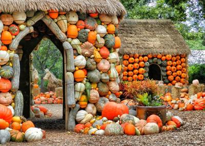 Autumn at the Arboretum is a Halloween outing that features more than  40,000 decorated pumpkins.