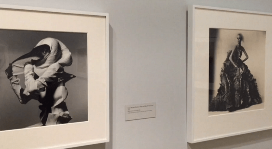 WATCH: Opening of the Dallas Museum of Art’s photography exhibit, ‘Irving Penn: Beyond Beauty’