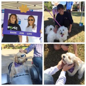 Photo by: Relay for Life 