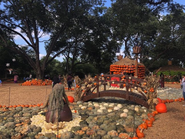 The Pumpkin Village at the Dallas Arboretum. Photo by Elizabeth Beeck. Photo credit: Elizabeth Beeck
