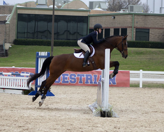 Each SMU Equestrian team horse is housed at the Dallas Equestrian Center. Photo credit: Julia Depasquale