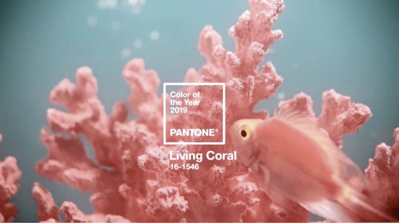 Energizing Coral Hue is Pantone Color of the Year
