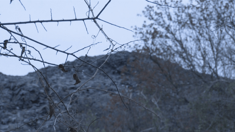 Shingle Mountain: A Case of Environmental Injustice