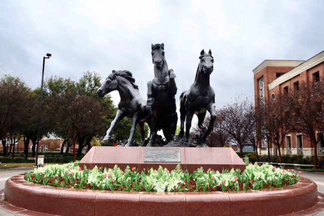 Mustangs Statue on the Mustang Mall Photo credit: Audrey McClure