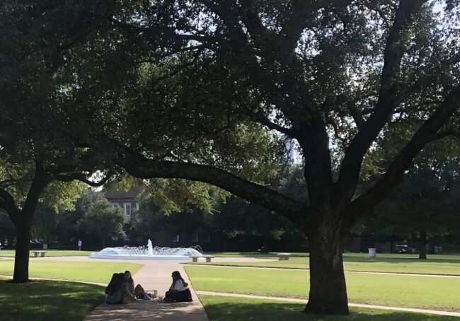 Students gather six feet apart for lunch under the shade of a tree on Dallas Hall Lawn. Photo credit: Lauren Rangel