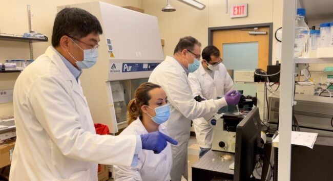 Lab on a Chip: SMU Engineers are Developing a New Antibody Test