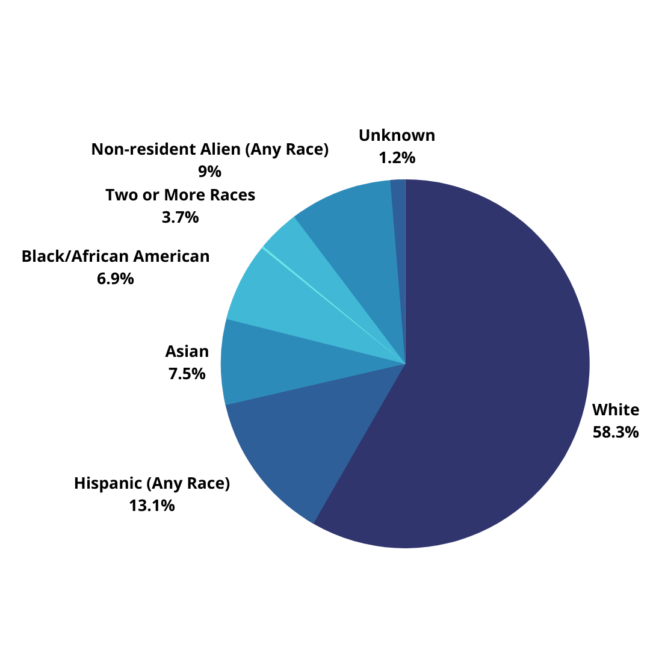 Ethnicity distribution at SMU, Fall 2020.