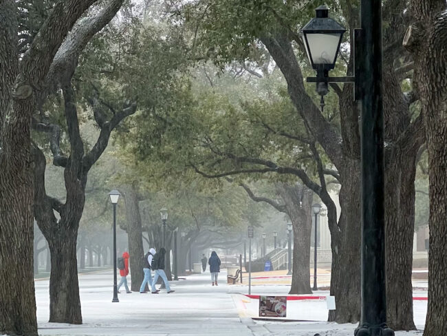 A thin layer of snow covers the SMU Campus. Photo Credit: Emma McRae