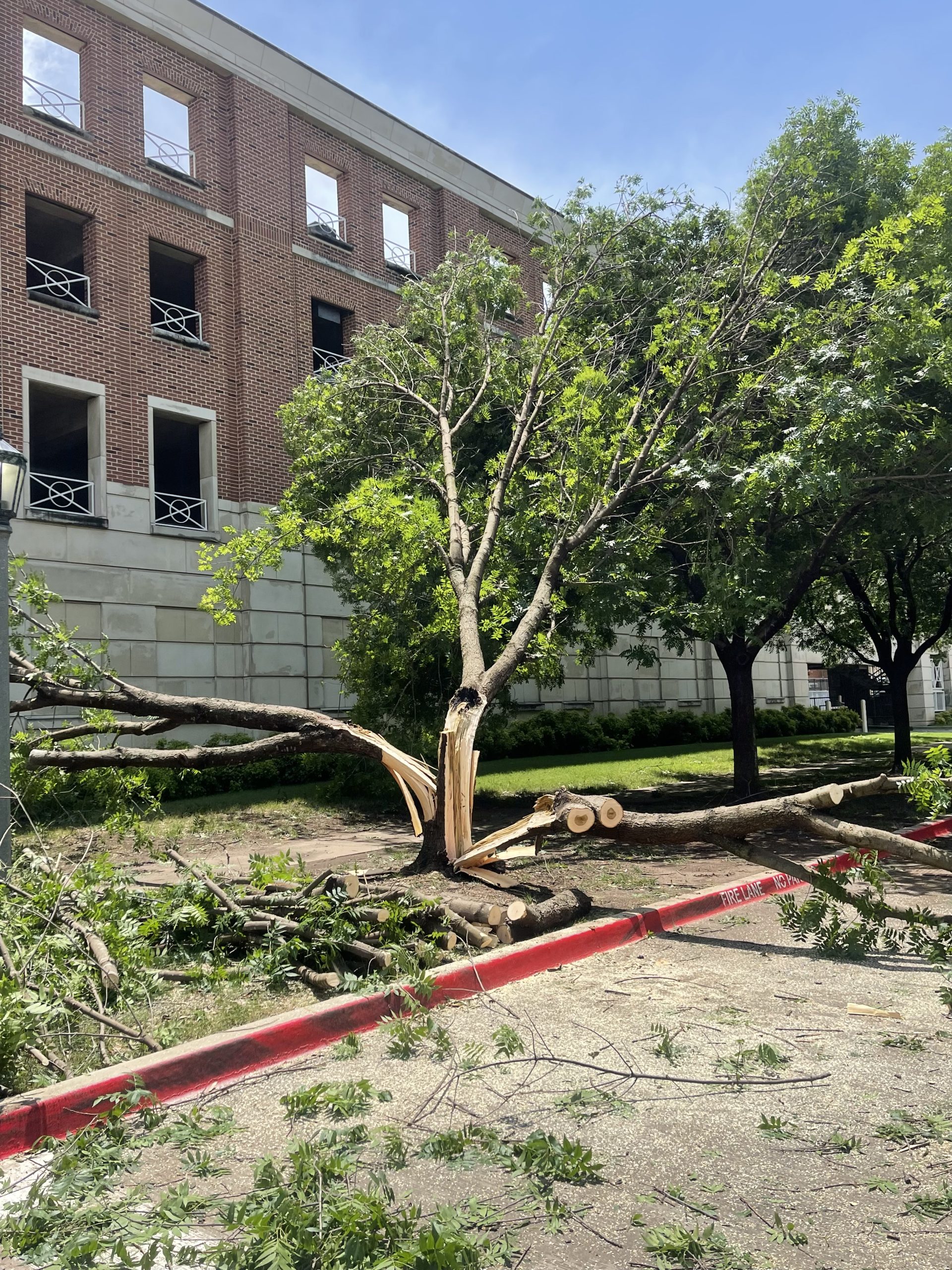 Memorial day storms damage Dallas - SMU Daily Campus