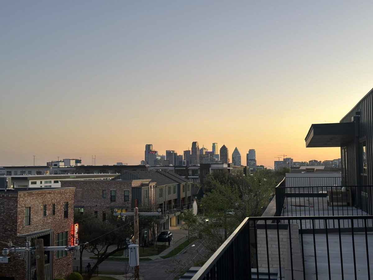 Looking for new shopping and restaurant spots to check out in Dallas? We've got you covered.